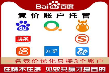成功SEM托管代运营案例分析