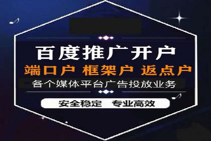 谷歌SEM广告策略：某电商平台的成功逆袭案例